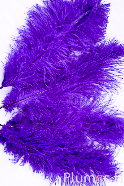 Autruche - 30-40 cm - violet